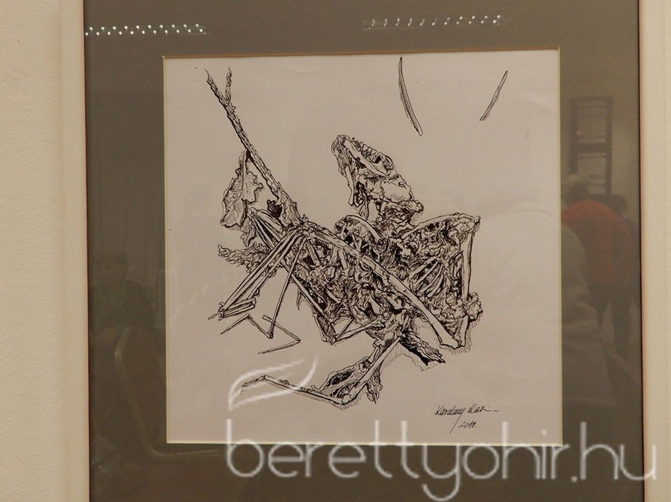 Alkotni jó 2019. 54